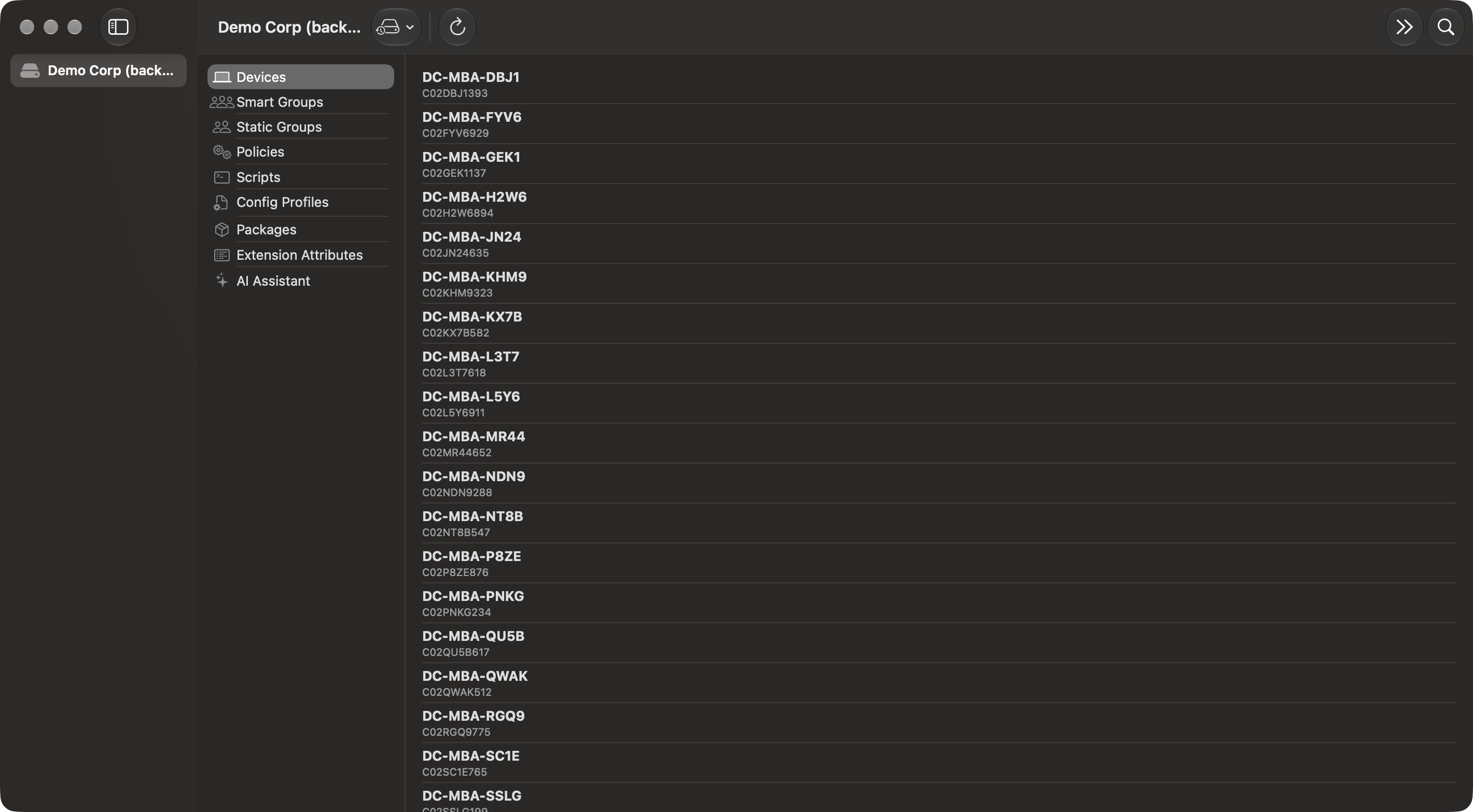 Jarl device inventory for the Demo Corp organization
