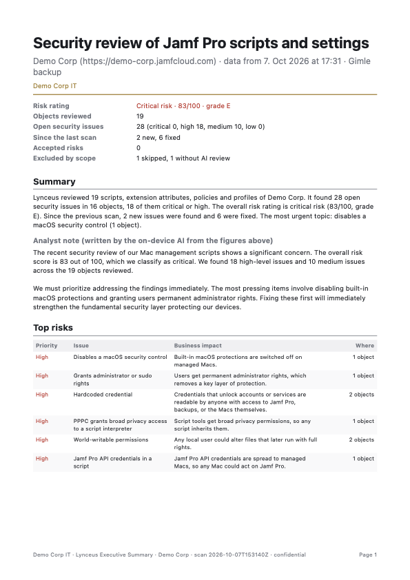 Lynceus executive summary PDF with risk rating, summary, an analyst note written by the local AI and the top risks
