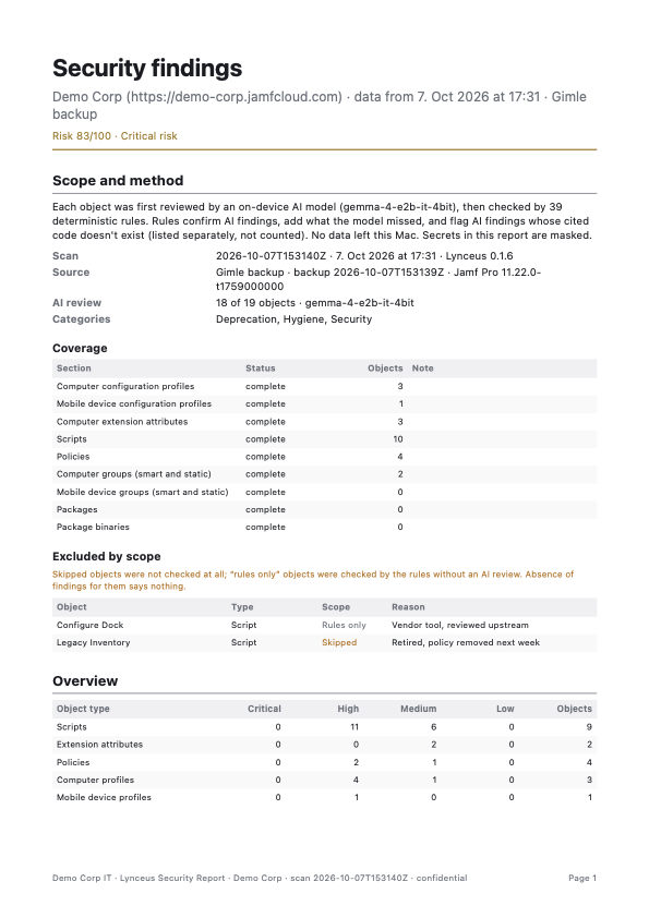 Lynceus security report PDF: scope and method, coverage per section, objects excluded by scope, and an overview by object type